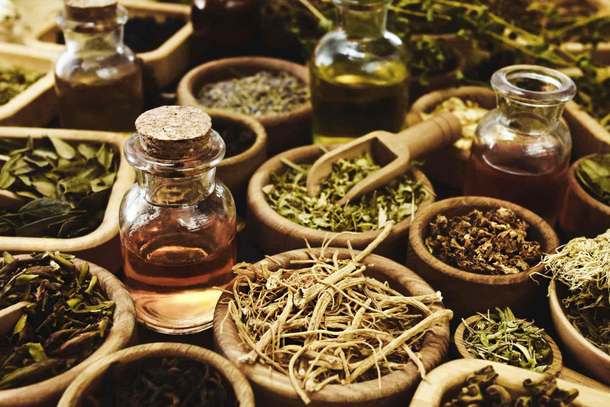 Traditional Healing
